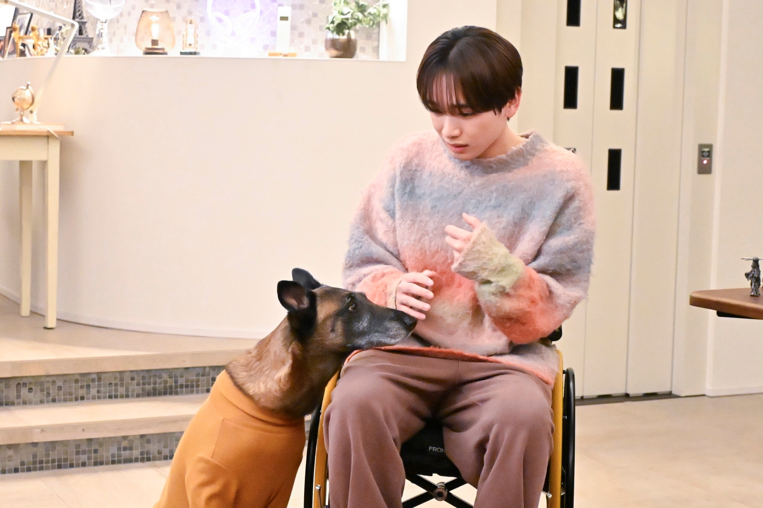 コラレ、宮世琉弥「問題物件」第8話より（C）フジテレビ