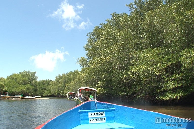 マングローブ林を抜けた先のシュノーケリングポイント“マングローブポイント”へ／画像提供：TBS