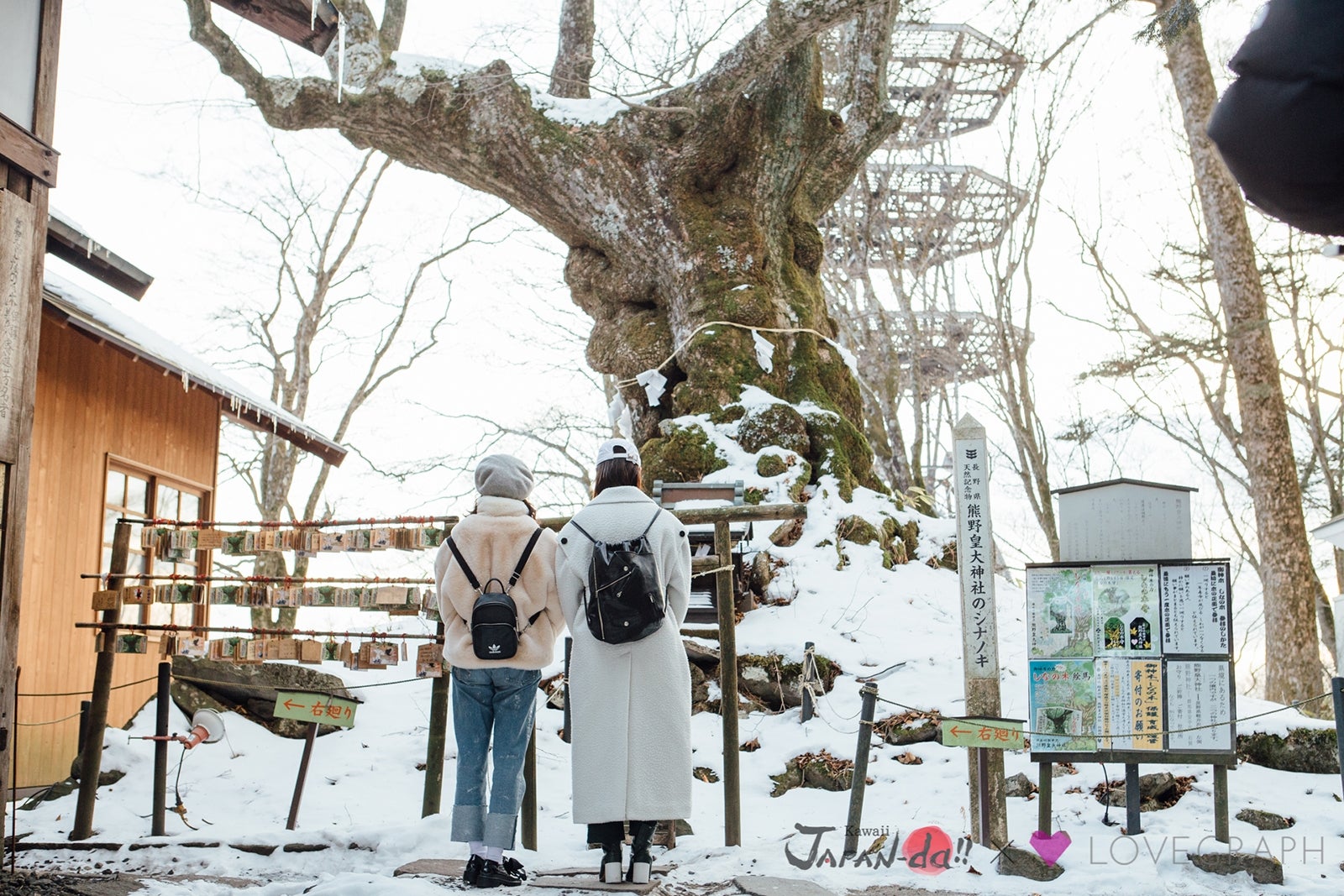 冬の軽井沢へ（写真提供：MBS）