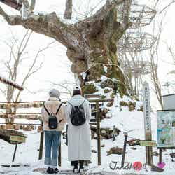 冬の軽井沢へ（写真提供：MBS）