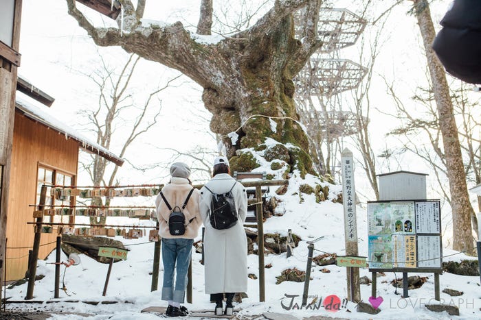 冬の軽井沢へ(写真提供:MBS)