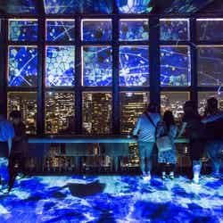 FIREWORKS & STARLIGHT SHOW/画像提供:東京タワー