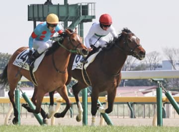 【新馬戦】マウンテンバローズ 激戦制した！初陣星 キングが高評価「新馬と思えない落ち着き」