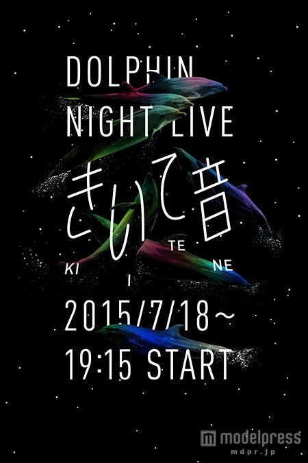 光に包まれた夜空をイルカがジャンプ（イメージ）／画像提供：京都水族館