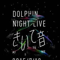 光に包まれた夜空をイルカがジャンプ(イメージ)/画像提供:京都水族館