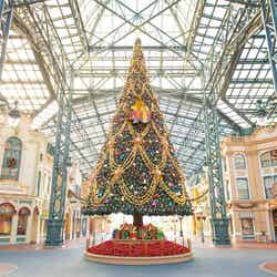 東京ディズニーランドでは今年限定の40周年のロゴが飾られた約15メートルのきらびやかなクリスマスツリーが登場（C）Disney