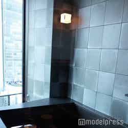 フォーシーズンズホテル大阪(C)モデルプレス