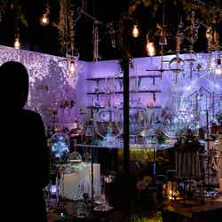 07:“THE SECRET”of the secret garden(ザ・シークレット・オブ・ザ・シークレットガーデン)/画像提供:ネイキッド