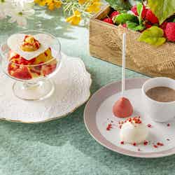 Strawberry Fairy Garden/提供画像