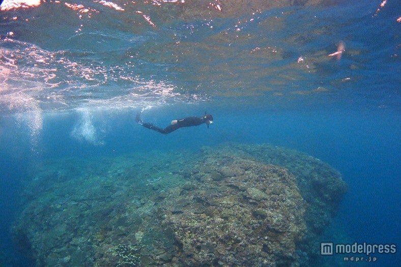 沖縄のサンゴの海に潜る藤原竜也
