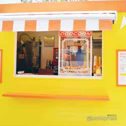 ミッフィー・ワンダースクエア(C)モデルプレス