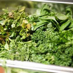 アロハサラダ 原宿/画像提供:アロハサラダ 原宿