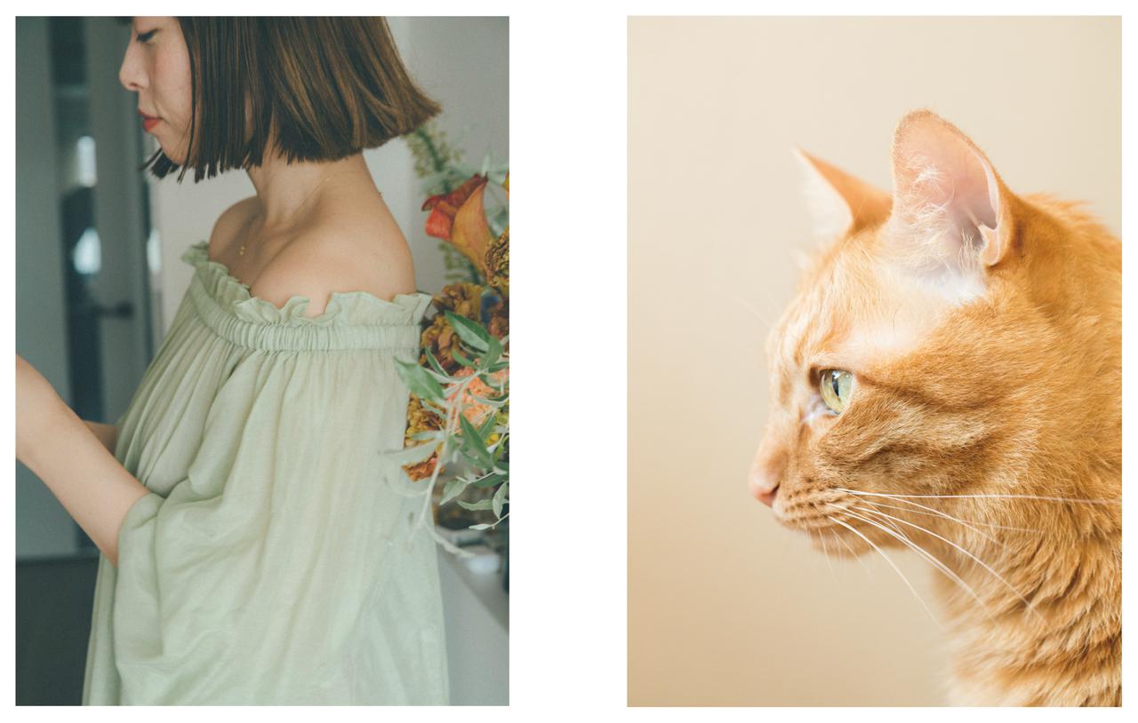 画像: