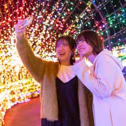 伊豆高原グランイルミ過去の様子/提供画像