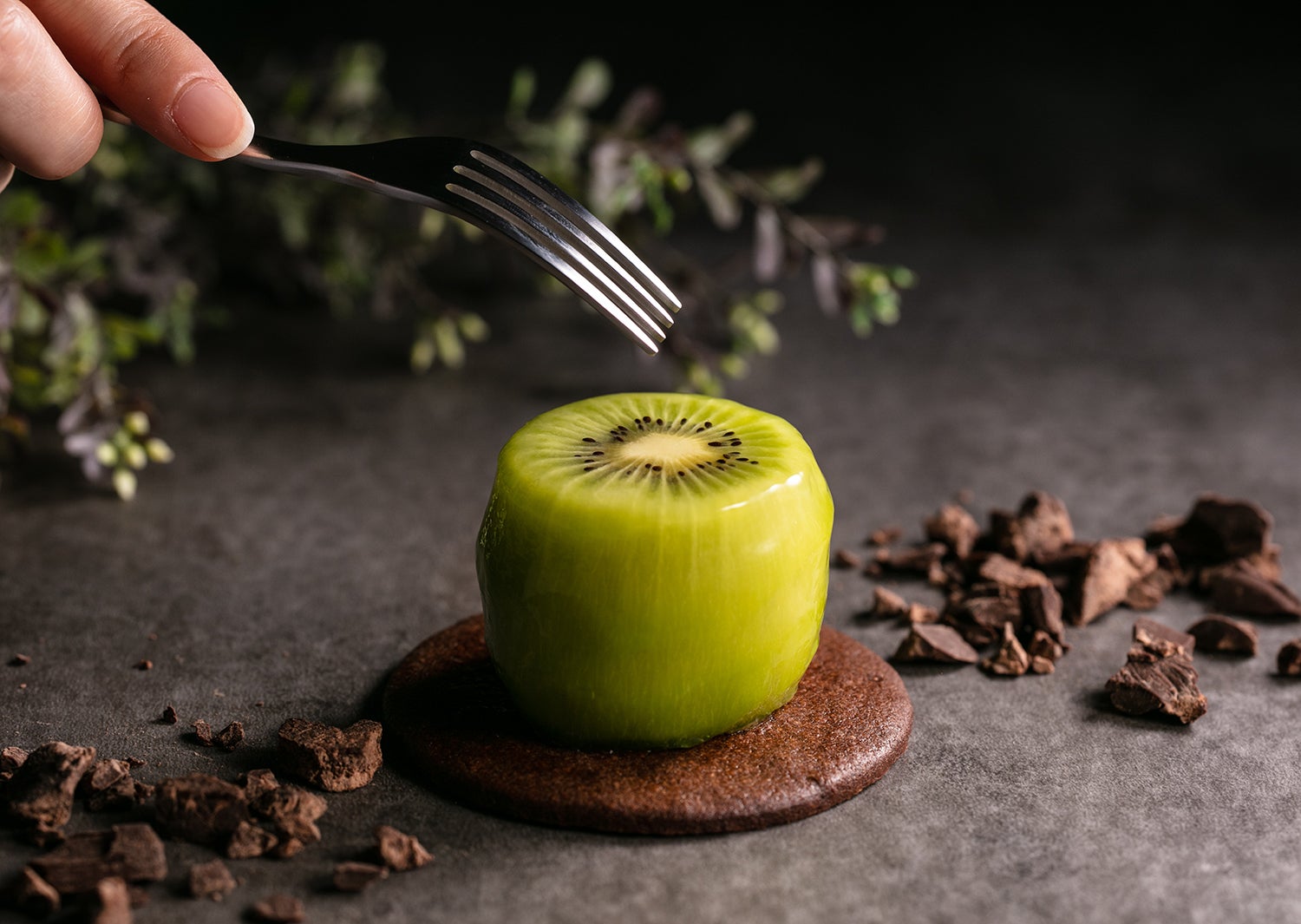 KININAL／画像提供：KININAL