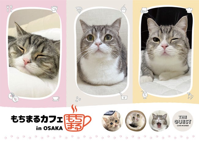 もちまるカフェ In Osaka 大阪 心斎橋パルコで パフェやスムージー 新グッズも登場 女子旅プレス もちまるカフェ In Osaka 大阪 心斎橋パルコで パフェやスムージー 新グッズも登場 女子旅プレス