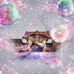 NAKED FLOWERS 2021 −桜− 世界遺産・二条城／画像提供：ネイキッド