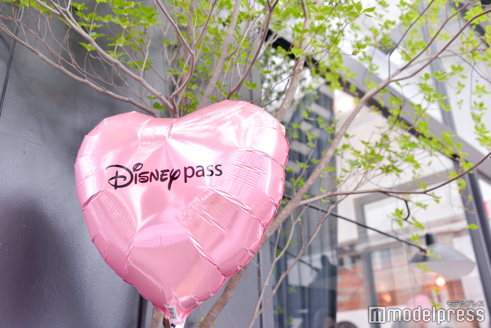 （C）モデルプレス