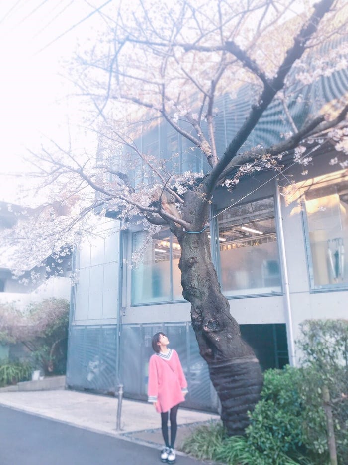 宮脇咲良(C)AKS