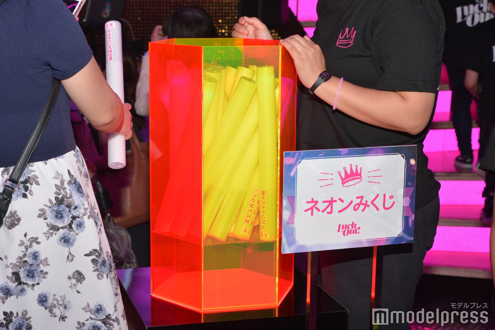 おみくじで運試しをする姿も（C）モデルプレス