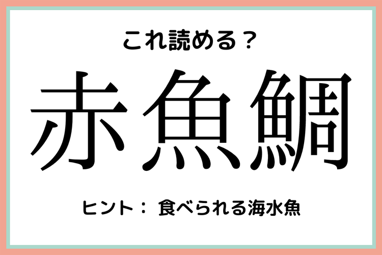 赤魚鯛 あかさかなたい 読めたらスゴイ 魚の難読漢字 4選 モデルプレス