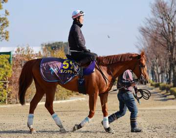 大阪杯3着ダノンデサイルが宝塚記念へ参戦 クロワデュノール、ミュージアムマイルなどと豪華対決