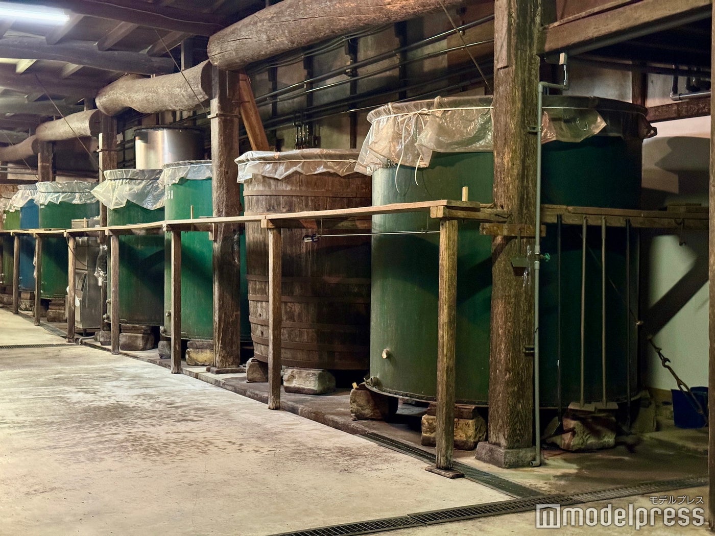 馬場本店酒造（C）モデルプレス