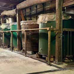 馬場本店酒造(C)モデルプレス