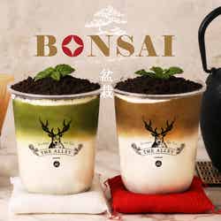 ジ アレイ、ほうじ茶と抹茶の新春ラテ 盆栽イメージの和風仕立て