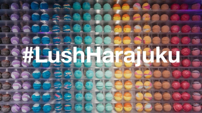 画像提供：ラッシュジャパン