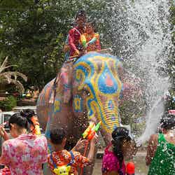 タイの伝統的な水掛け祭り”ソンクラーン”／画像提供：S2O JAPAN実行委員会