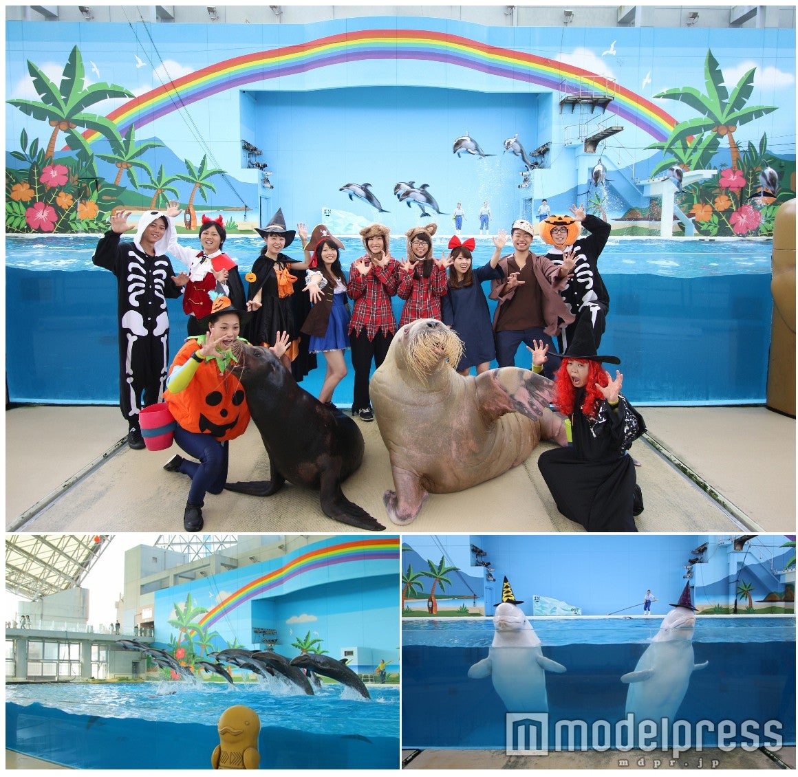 海の動物たちのショー Halloween Party／画像提供：横浜八景島