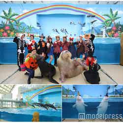 海の動物たちのショー Halloween Party／画像提供：横浜八景島