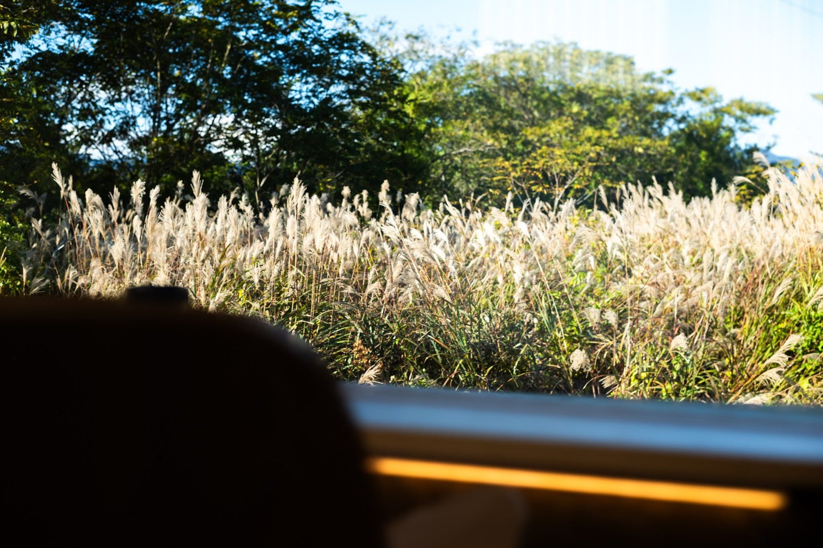 BLANC FUJI／提供画像