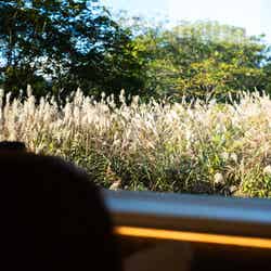 BLANC FUJI/提供画像