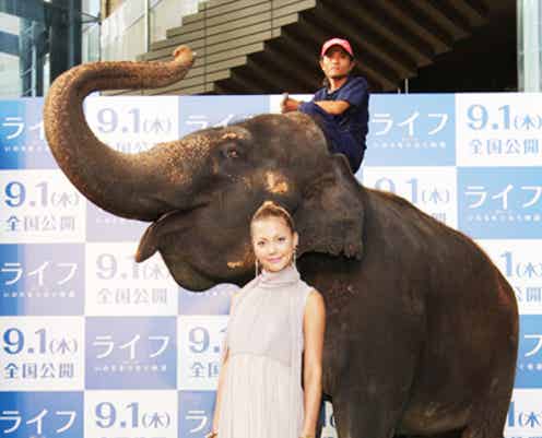 土屋アンナ、森泉ら著名人がキュートな動物たちに大興奮