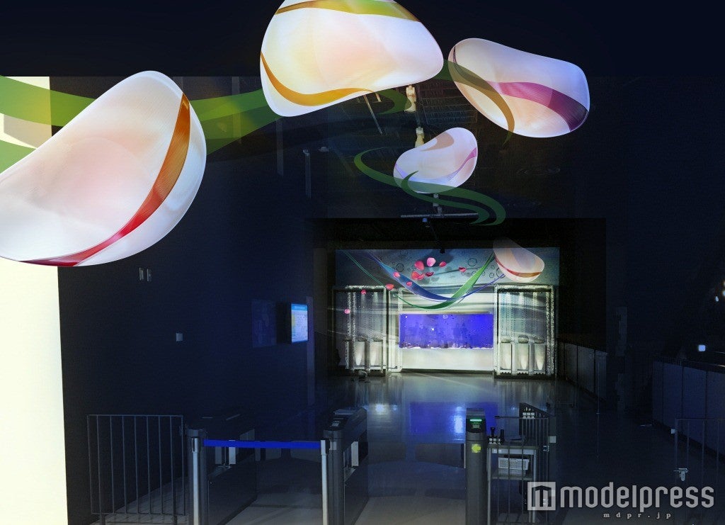 飛水花（ひすいか）／画像提供：横浜八景島