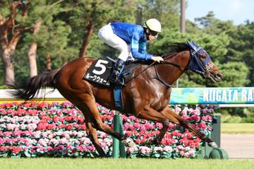 【ダリア賞】ルークウォーム 2歳コースレコード完勝劇 手塚久師＆津村は慎重姿勢「気が入り行く形に。力はあるが、今後は考えないと」