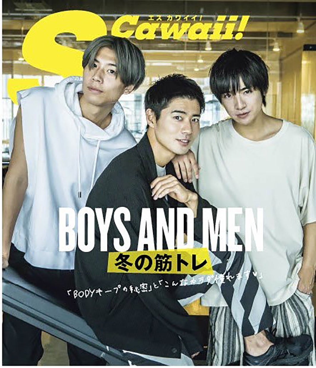 「S Cawaii!」特別編集 ほどよく、可愛く、締まったカラダ革命（12月3日発売）表紙：本田剛文、辻本達規、吉原雅斗（画像提供：主婦の友社）