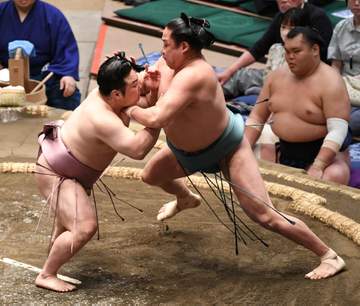 炎鵬が初日から5連勝「まさかです」脊髄損傷大けがから十両復帰場所で存在感