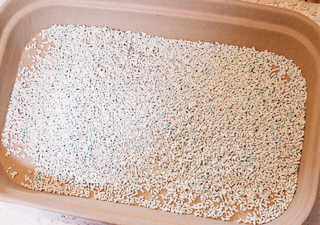 ダイソー　紙製猫砂トレー　使用例