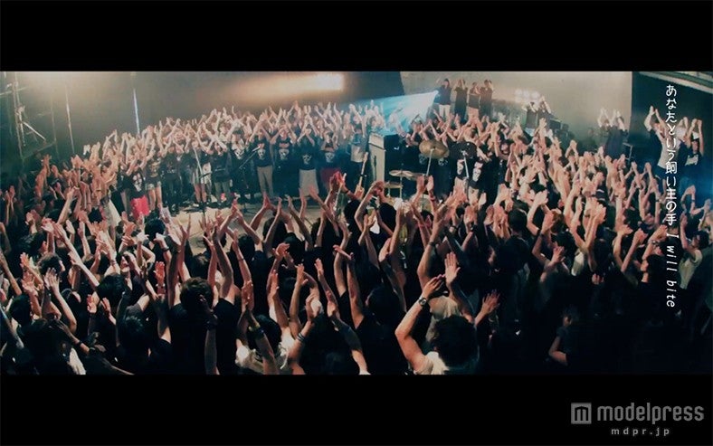 [Alexandros]「Dog 3」ミュージックビデオより