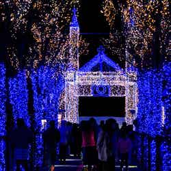 特別なクリスマスを旅先で楽しもう!カップルで出かけたい国内旅行先5選/旧サビエル記念聖堂を再現したイルミネーション/画像提供:山口県