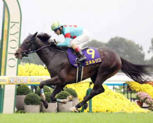 2週連続G1制覇&菊花賞3連覇を支えたNF天栄の育成方針「個々の馬と向き合った成果」