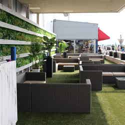 avex dining oasis-エイベックス・ダイニングオアシス-(提供画像)