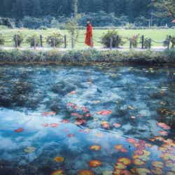 モネの池/photo 廣田達将