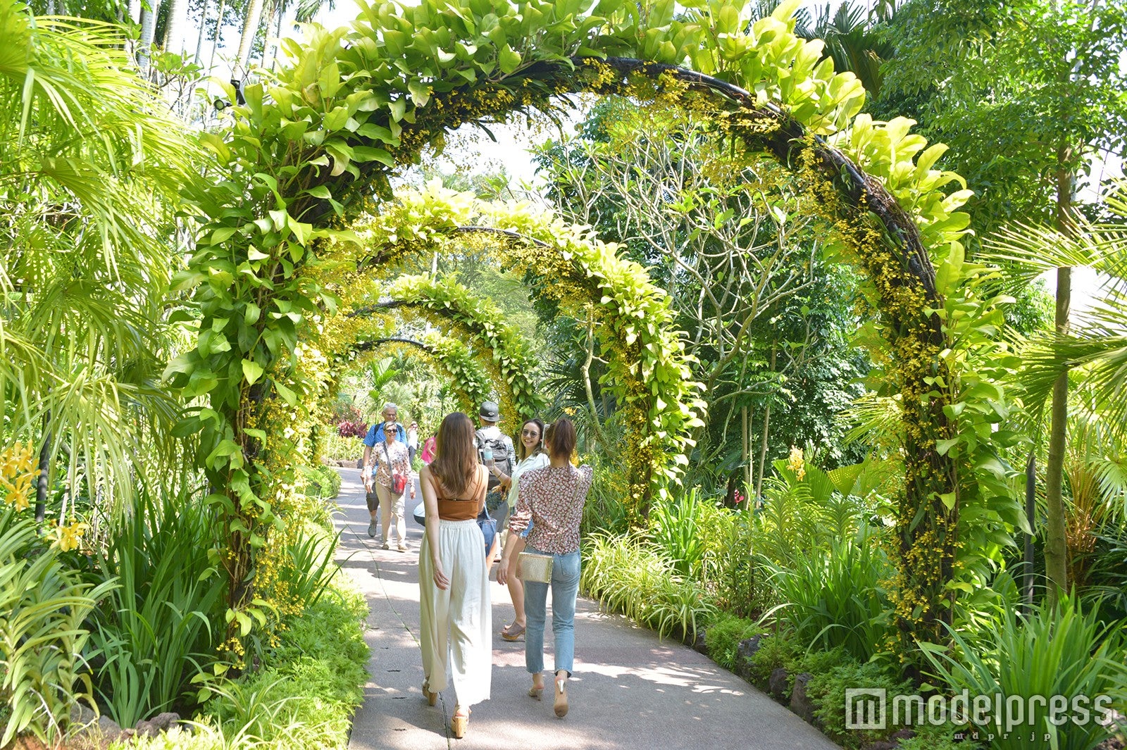 シンガポール植物園 （C）モデルプレス