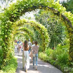 シンガポール植物園 （C）モデルプレス