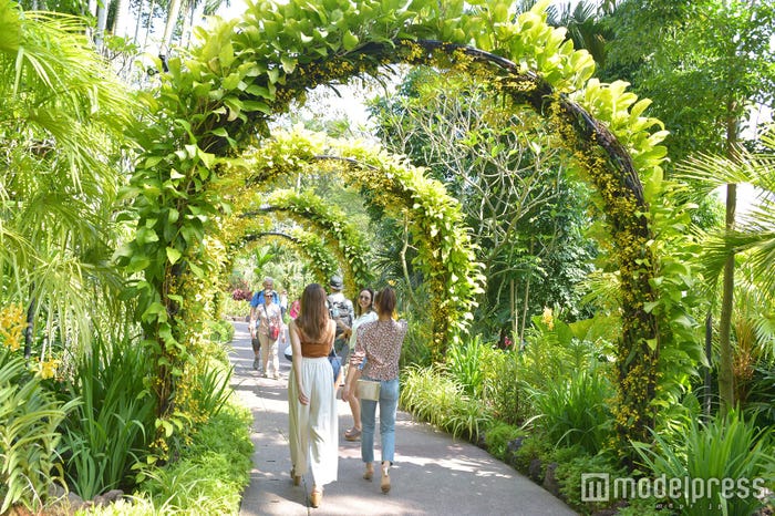 シンガポール植物園 (C)モデルプレス
