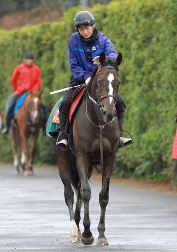 【桜花賞】ドリームコア 桜冠奪取へ 初の関西遠征も素質は一流 データも唯一の減点なし